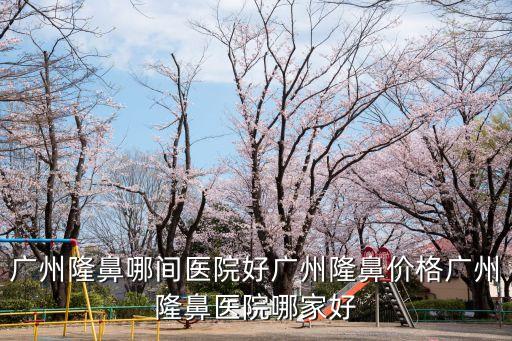 廣州隆鼻哪間醫(yī)院好廣州隆鼻價格廣州隆鼻醫(yī)院哪家好