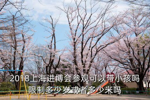 2018上海進博會參觀可以帶小孩嗎限制多少歲或者多少米嗎