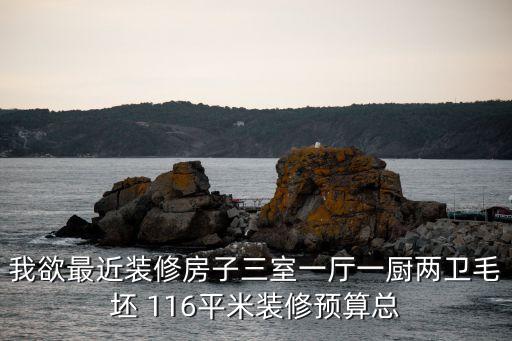 東莞米蘭公館116平裝修效果圖，我家新買的房子116平方的三室兩廳一衛(wèi)有人幫忙設(shè)計(jì)下嗎給