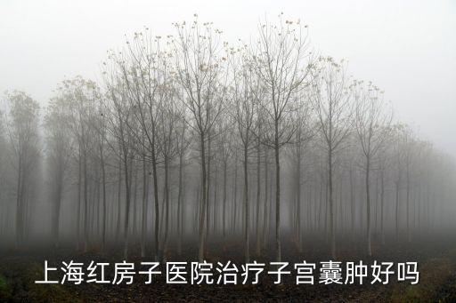 上海紅房子醫(yī)院治療子宮囊腫好嗎