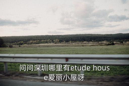愛(ài)麗小屋深圳哪里有專柜地址，問(wèn)問(wèn)深圳哪里有etude house愛(ài)麗小屋呀