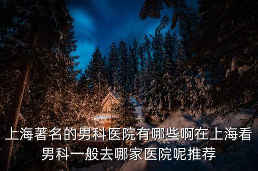 上海市十佳工糾，上海 有沒有好的綜合醫院sos 婦科怎么樣