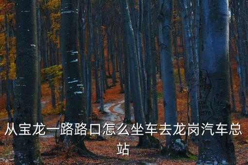 寶龍路到深圳龍崗廣場公交，從寶龍比亞迪去龍崗中心城珠江廣場應該坐什么車