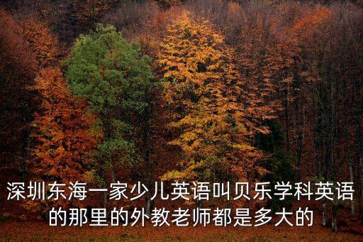 深圳東海一家少兒英語叫貝樂學科英語的那里的外教老師都是多大的