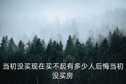 后悔2010年沒在深圳買房，2010年深圳房價會崩潰嗎