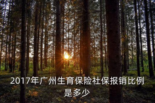 廣州 生育保險 2017，2017最新廣州生育津貼如何計算