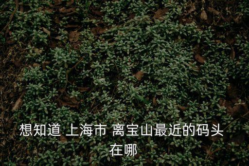 想知道 上海市 離寶山最近的碼頭 在哪