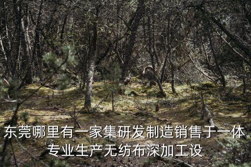 東莞大型無紡布工廠，樟木頭那邊哪里有好的研發制造銷售于一體專業生產無紡布深加