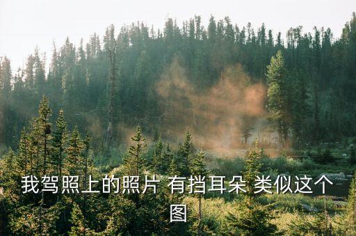 我駕照上的照片 有擋耳朵 類似這個圖