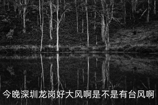 今晚深圳龍崗好大風啊是不是有臺風啊