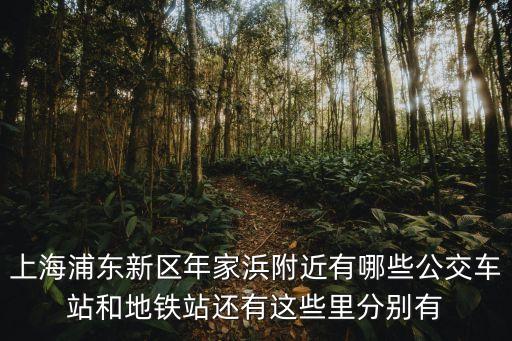 上海市浦東新區年家浜路地鐵，浦東新區周浦鎮年浜路附近有沒有地鐵