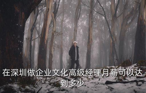 在深圳做企業文化高級經理月薪可以達到多少