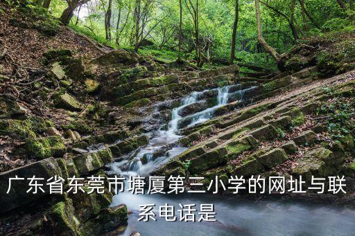 廣東省東莞市塘廈第三小學的網址與聯系電話是