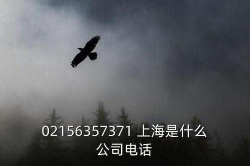 02156357371 上海是什么公司電話