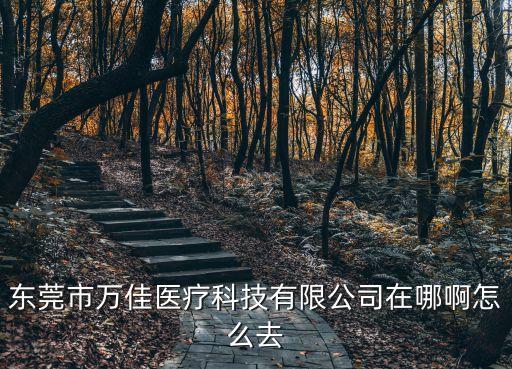 東莞市萬佳醫(yī)療科技有限公司在哪啊怎么去