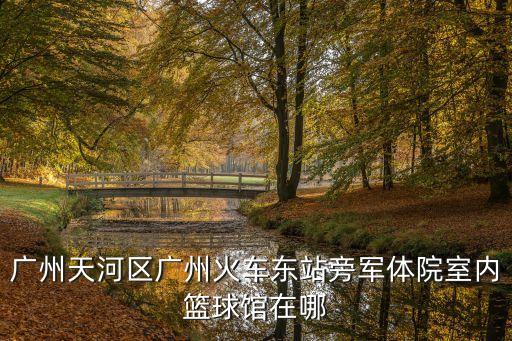 廣州天河區廣州火車東站旁軍體院室內籃球館在哪
