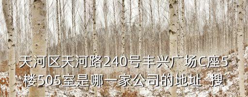 天河區(qū)天河路240號(hào)豐興廣場C座5樓505室是哪一家公司的地址  搜