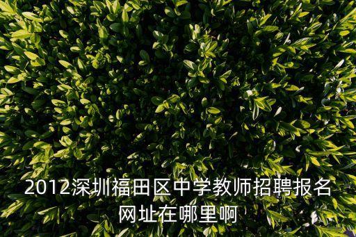 2012深圳福田區(qū)中學(xué)教師招聘報名網(wǎng)址在哪里啊