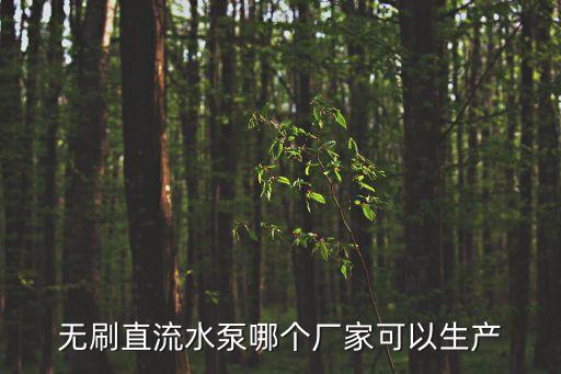 廣州力洋水泵廠，無刷直流水泵哪個廠家可以生產