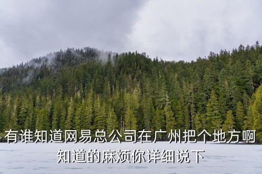 有誰(shuí)知道網(wǎng)易總公司在廣州把個(gè)地方啊知道的麻煩你詳細(xì)說(shuō)下