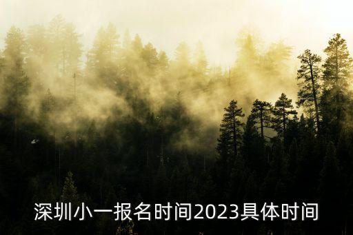 深圳小一報名時間2023具體時間