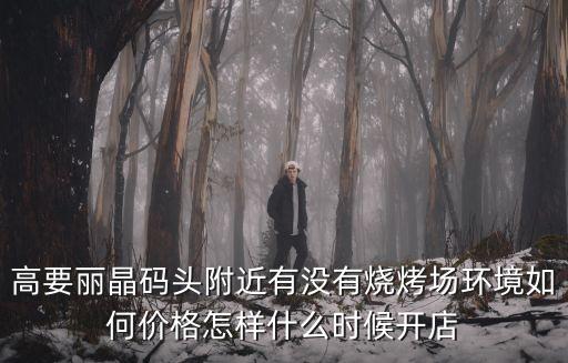 高要麗晶碼頭附近有沒有燒烤場環(huán)境如何價(jià)格怎樣什么時(shí)候開店