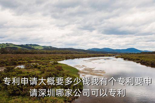 深圳辰靈知識產(chǎn)權(quán)，辰聯(lián)知識產(chǎn)權(quán)做專利怎么樣