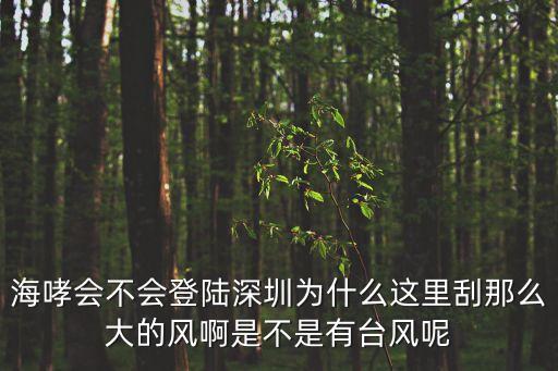 深圳為什么這么大風，深圳為什么經常會有臺風