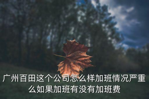 廣州百田科技股東，廣州百田公司在哪