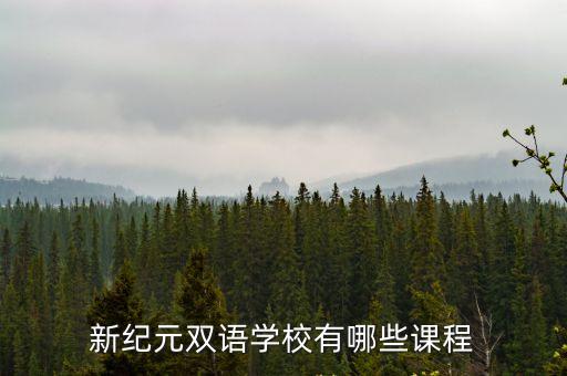 上海市新紀元雙語學校作業，上海新紀元雙語學校怎么樣