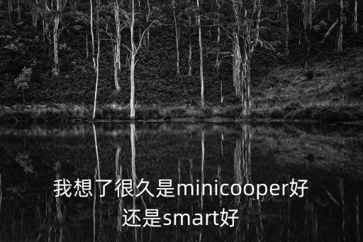 上海市選mini還是特斯拉，家里的第三輛車上下班代步用mini one好還是smart激情版好想