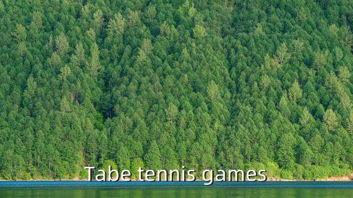 Tabe tennis games