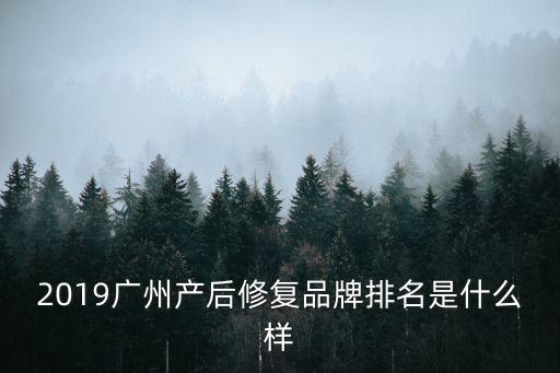 廣州麥藍德產后康復，產后康復治療儀哪個廠家的好