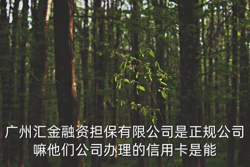 廣州匯金融資擔保有限公司是正規公司嘛他們公司辦理的信用卡是能