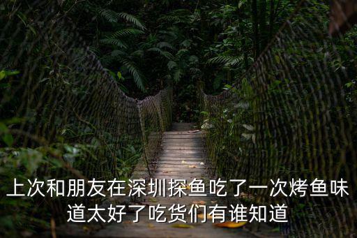 廣州東區探魚，誰知道探魚品牌是深圳市還是廣州市的