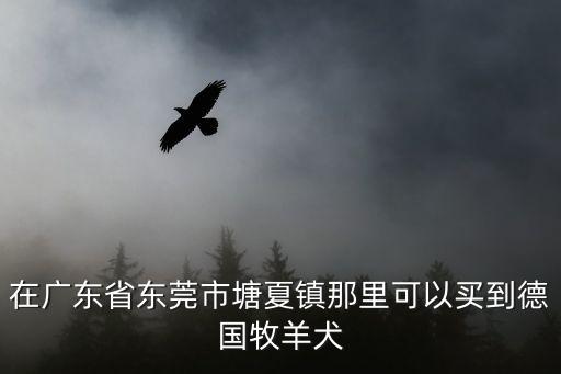 在廣東省東莞市塘夏鎮那里可以買到德國牧羊犬