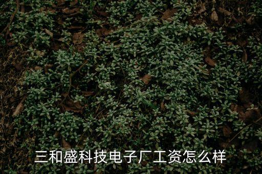 三和盛科技電子廠工資怎么樣