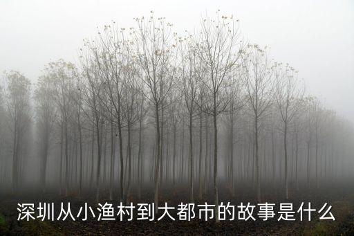 深圳從小漁村到大都市的故事是什么