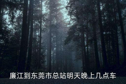 廉江到東莞市總站明天晚上幾點車