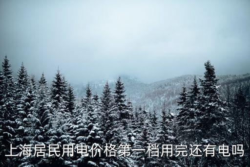 上海市第一檔電量價格，上海的電費價格是多少錢一度