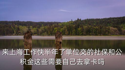 來上海工作快半年了單位交的社保和公積金這些需要自己去拿卡嗎