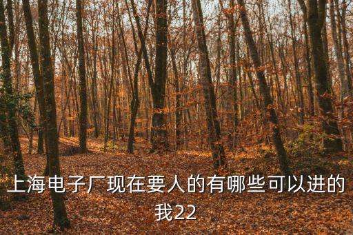 上海電子廠現在要人的有哪些可以進的我22