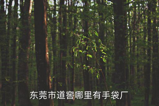 東莞的手袋廠在哪里，東莞市道窖哪里有手袋廠