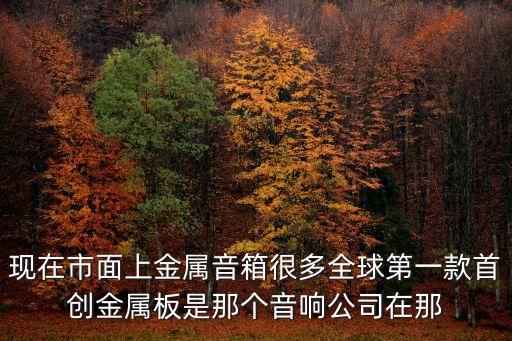 現在市面上金屬音箱很多全球第一款首創金屬板是那個音響公司在那