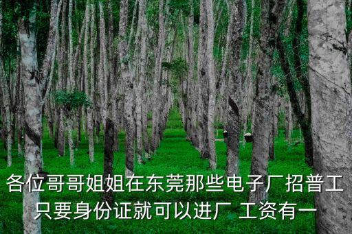 各位哥哥姐姐在東莞那些電子廠招普工只要身份證就可以進廠 工資有一