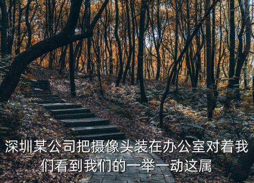 深圳大唐文化集團韓江，深圳某公司把攝像頭裝在辦公室對著我們看到我們的一舉一動這屬