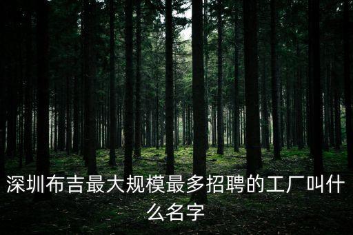 深圳布吉最大規模最多招聘的工廠叫什么名字