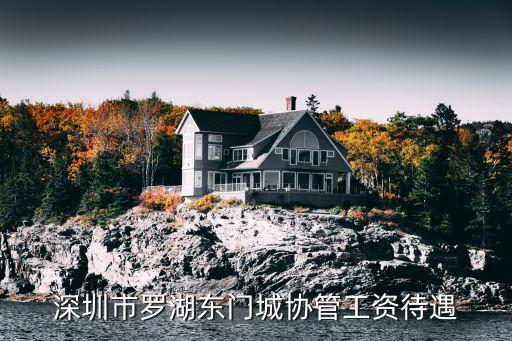 深圳查違協管員工資，深圳綜合協管員工資多少啊