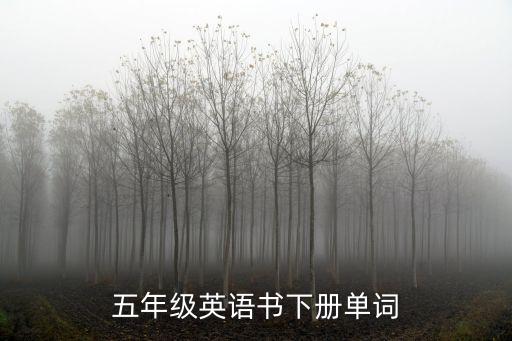 五年級英語書下冊單詞