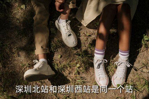深圳西 深圳北 深圳分別是什么站，深圳站 深圳北 深圳西 那個是羅湖站啊 求指點